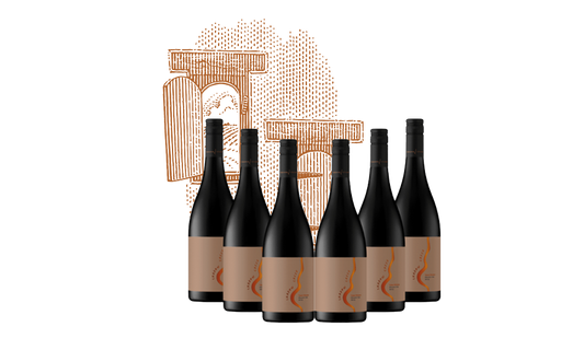 2020 'Ticket Window' McLaren Vale Shiraz - Six Pack